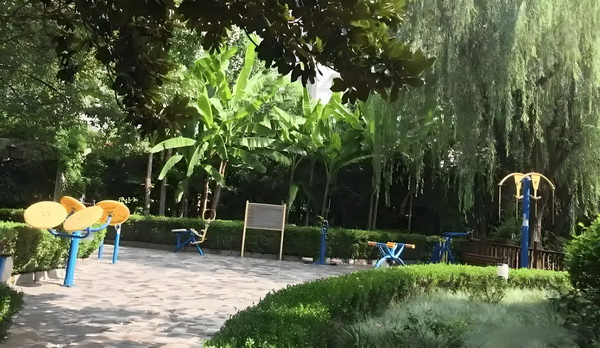 鱼鸟恋歌