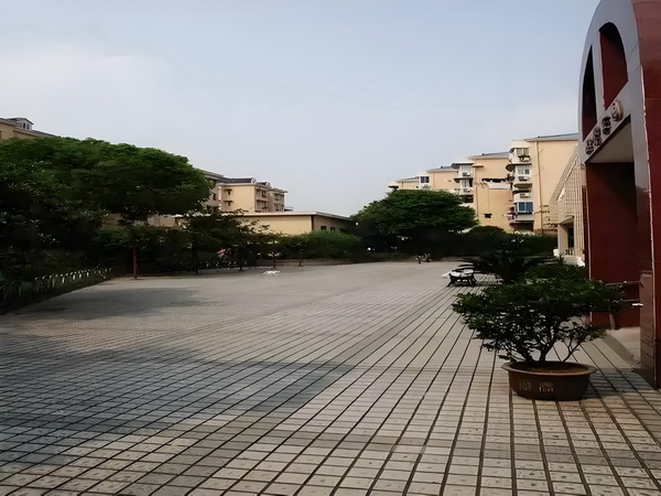 爱特伯爵家族之抢钱女